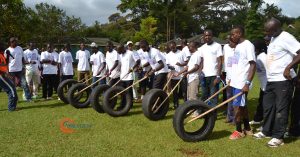 Best Team Building Packages