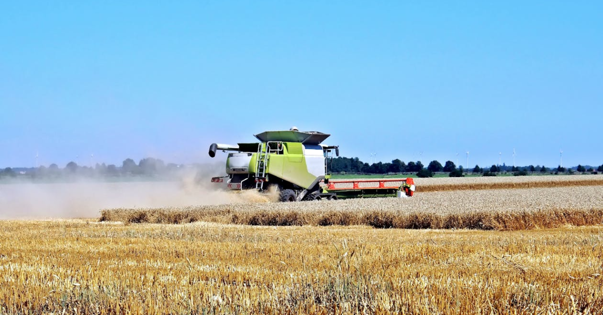 Profitable Business Ideas